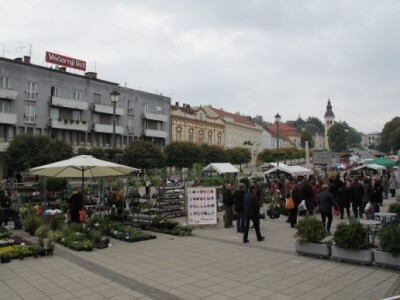 Drugi Daruvarski cvjetni sajam