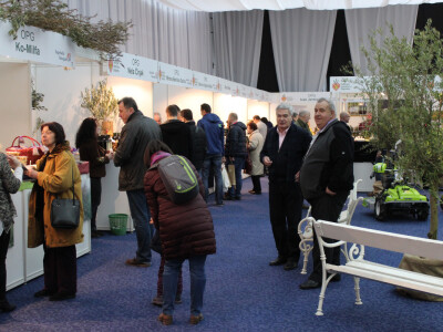 2. Festival maslina u Zagrebu 2017