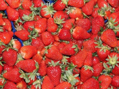 Otvoren 25. međunarodni sajam gospodarstva u Mostaru