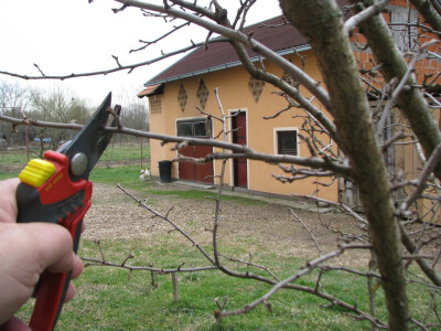 neophodna škola voćarstva neophodna škola voćarstva