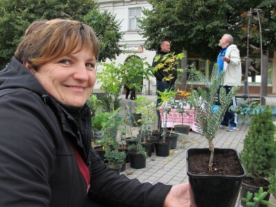 Drugi Daruvarski cvjetni sajam