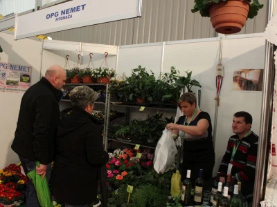 Viroexpo 2017.