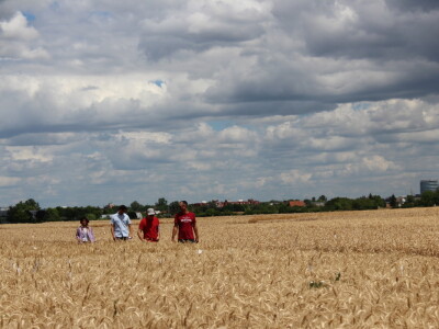 HAPIH  dan otvorenih vrata