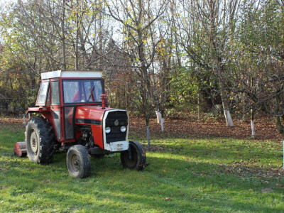 Detalj iza škole - IMT 560