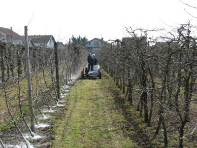 konvencionalna proizvodnja