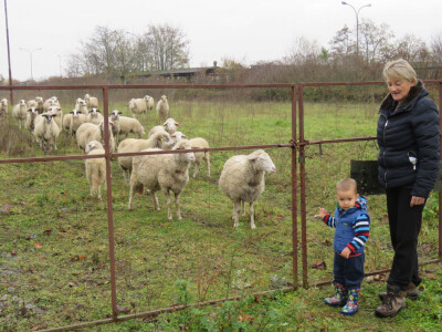 Unuk Ivan pomaže baki Lidiji