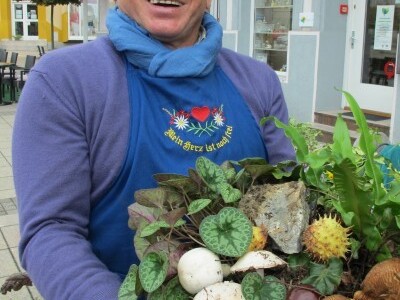 Drugi Daruvarski cvjetni sajam