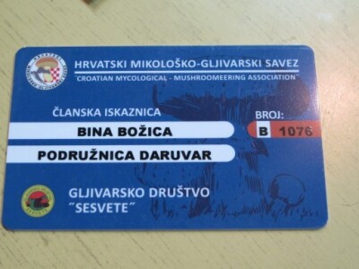 U Daruvaru osnivanej gljivarske udruge Kotrč