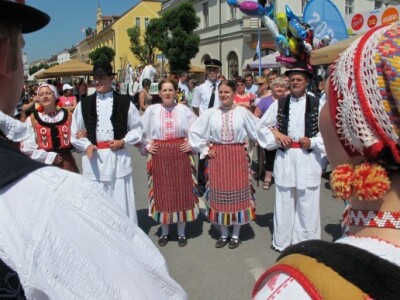 Tijekom tjedna su se u Daruvaru održali izbori županije za miss