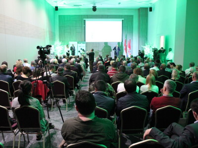 21. Noćnjak, okupljanje maslinara u Neumu