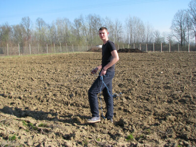 Mile Popović ima bogato iskustvo u plasteničkoj proizvodnji