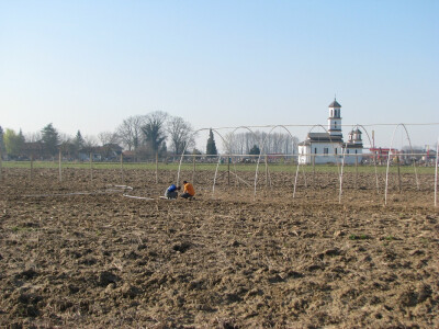 školska parcela u Brestovčini