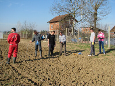 radovi na novom voćnjaku