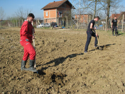 kopanje rupa za sadnju voća