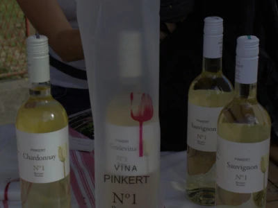 Obitelj Pinkert