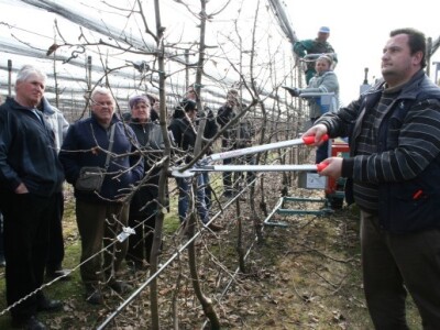Rezidba voćnjaka i prezentacija platforme za rezidbu s pneumatskim škarama