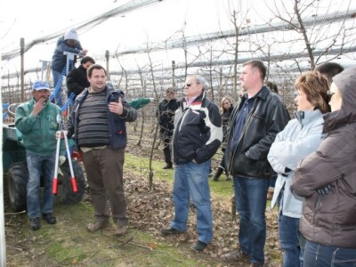 Rezidba voćnjaka i prezentacija platforme za rezidbu s pneumatskim škarama