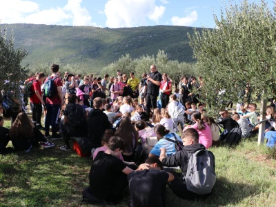 BERBA MASLINA U HERCEGOVINI