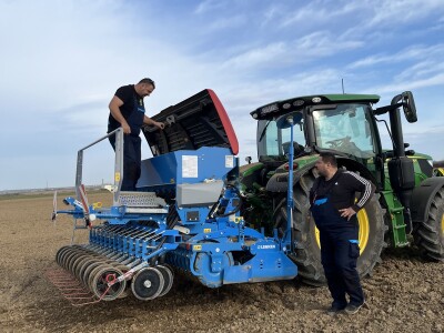 Sjetva boba na OPG-u Plazibat