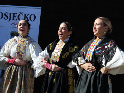 KUD Željezničar upriličio svečanost otvaranja sajma