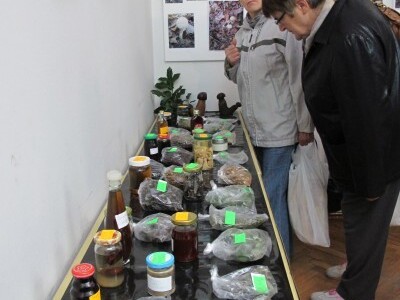 Ponuda vina, likera, meda, vinskog gulaša