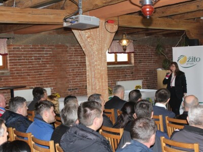 Vlasnik i osnivač Žito grupe Marko Pipunić s proizvođačima suncokreta Vlasnik i osnivač Žito grupe Marko Pipunić s proizvođačima suncokreta