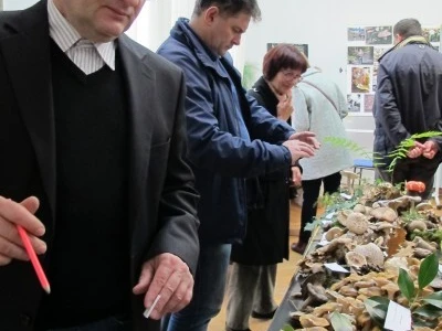 Na ceremoniji krštenja mladog vina gosti iz Slovenije, Dalmacije i Istre