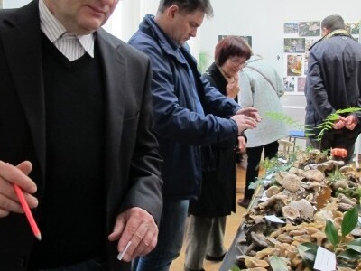 Na ceremoniji krštenja mladog vina gosti iz Slovenije, Dalmacije i Istre