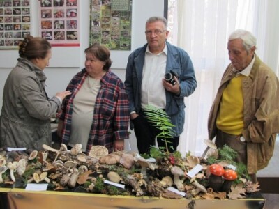 Ponuda vina, likera, meda, vinskog gulaša