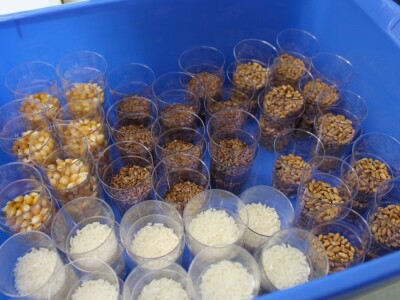 Festival znanosti FAZOS