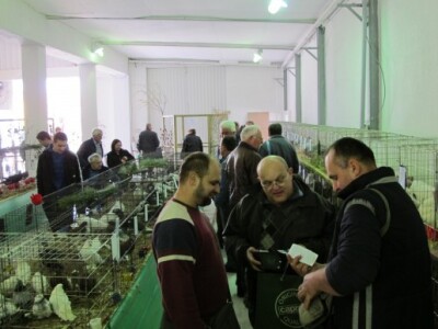 Na 18. proljetnom sajmu i 7. sajmu konja 40.000 posjetitelja