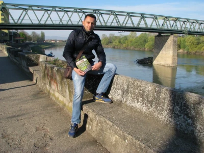 Aleksandar Bulović