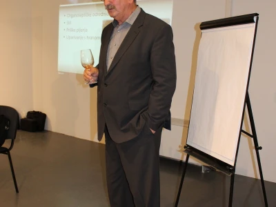 Vlado Krauthaker
