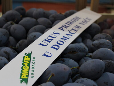 Dani šljive gradačac 2021