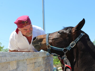 Poljoprivredna zadruga Masvin, Polača