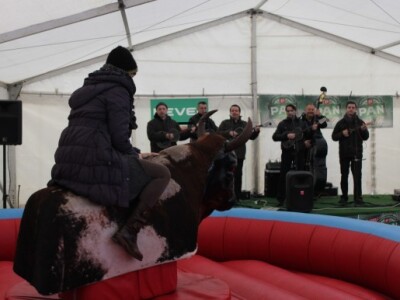 Mehanički bik i tamburaši