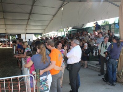 Stručni skupovi i izložbe na Agri