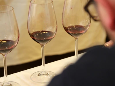 Dubrovnik FestiWine