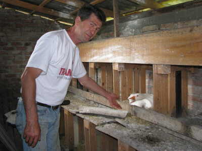 guske na jajima guske na jajima