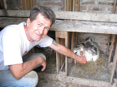 Branko pokazuje gusku na jajima Branko pokazuje gusku na jajima