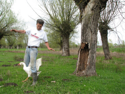 Guska otjerrala Branka Guska otjerrala Branka