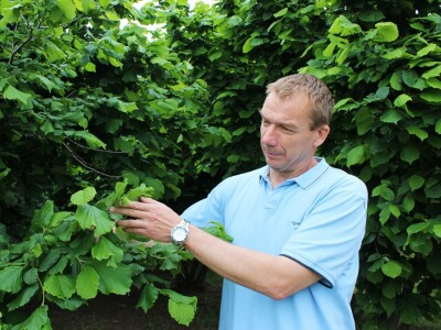 Domagoj Dropulić- uzgoj lijeske