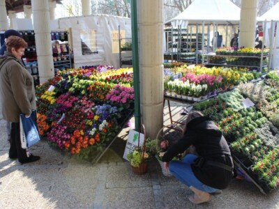 Interes za cvijeće je velik