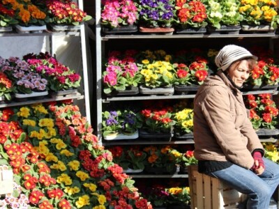 Prodaja cvijeća na proljetnom sajmu