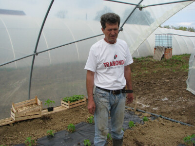 Branko u plasteniku Branko u plasteniku