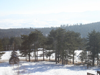 13. Zimski seminar farmera na Tari