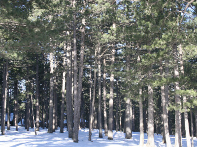 13. Zimski seminar farmera na Tari