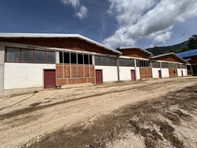 Bosanski inat Dragana Vukovića: Krenuo iz hobija, danas na farmi 1.000 grla stoke