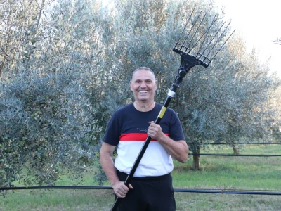 BERBA MASLINA U HERCEGOVINI