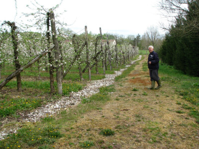 Očekuje odličan urod